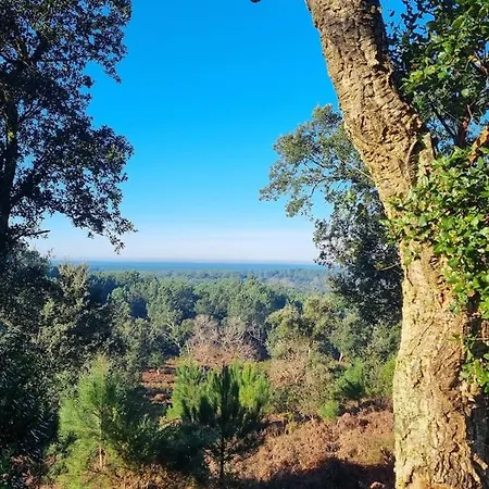 T2 Terrasse, Piscine, Foret, Ocean *